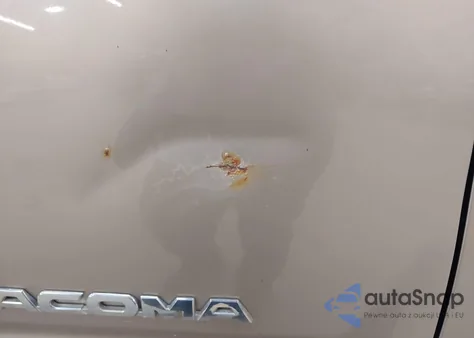 2008 Toyota Tacoma Base V6 из США, поврежденный, VIN 5TEMU52N58Z496274